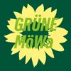 b90.die.gruene_moewa