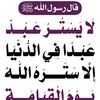 user9133819527558