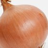 yourmumsanonion