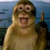 girgul0