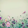 tam_biet_nhe11111