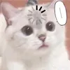 mynamfa05