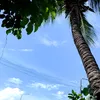 cndys76