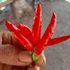 zaki.zaki6000