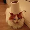caaast_04