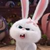 dir_piwww01