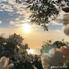 thuhuyen679