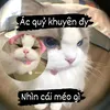 b.tiktok.kuyen