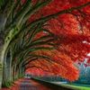 khurram.shahzad5938