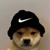 alfieonaaltaccfollow