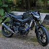 adit65995