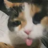 ＃ Ｋｉｒｏ
