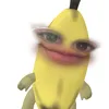 ziaaa_70702