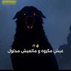 naef.18