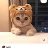 bbear.cmall_2