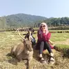 mamii.ichay