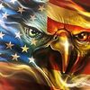 nokingsusa