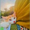 afrintisha19