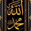 nur278498