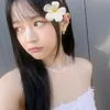 .feeh35
