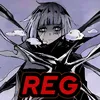 reg_n1