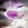 العجائبية فلك⊹₊ˆ𖦹.ᐟ ˆ𐃷