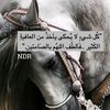 balqiisa.axmad
