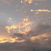 nilam_2940