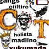wiilmadoow55