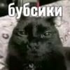 ksiiils8