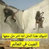 منير الوادي أبو راكان
