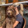 puppydeacs