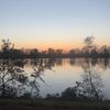 steveysovia