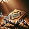 user10431304793244