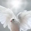 zilma.bezerra.da