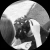 5.august2