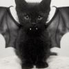 vampire_misttyboiaa