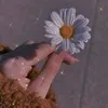 om_rofayda