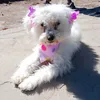 user120874692940elias
