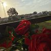 amyusef70