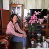 thimngip7426