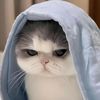 its.a1naw_