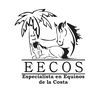 servicios.equinos