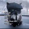 lgiahuyl1