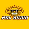 nelsen9122