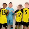 thijs.de.gooijer8