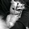 payoiarchduke