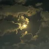 راية