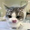 vir_906