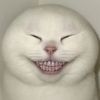 rstsbl_